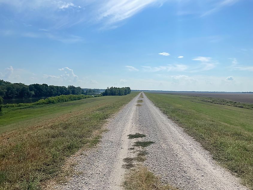 the levee road in Tensas Parish, Louisiana.