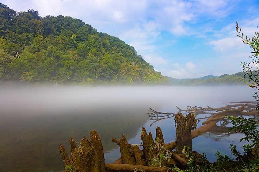 A foggy morning at Norris Dam State Park.