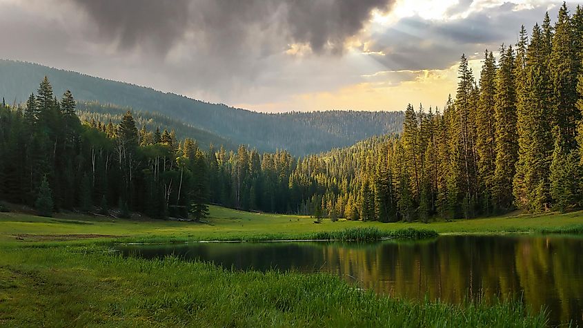 The stunning nature landscape view of Anderson Meadow Reservoir up Beaver Canyon in Utah.