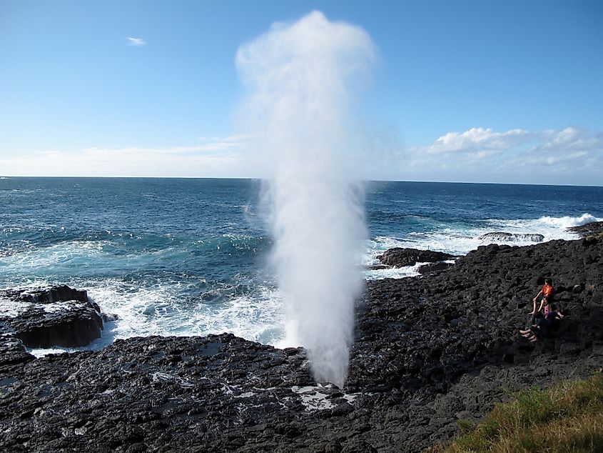 Little Blowhole, Kiama. Credit: profernity, CC BY 2.0 <https://creativecommons.org/licenses/by/2.0>, via Wikimedia Commons