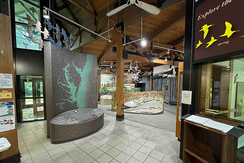 Eastern Shore of Virginia National Wildlife Refuge