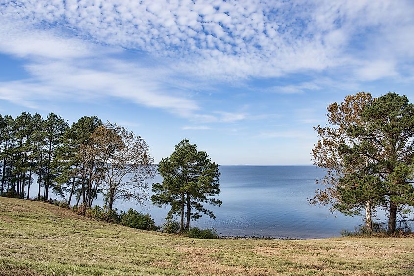 Toledo Bend Reservoir at Louisiana/Texas State Line