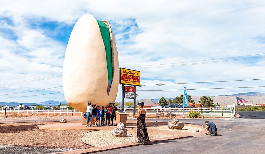 New Mexico pistachio tree farm with the world's largest statue of nut and people posing by sign