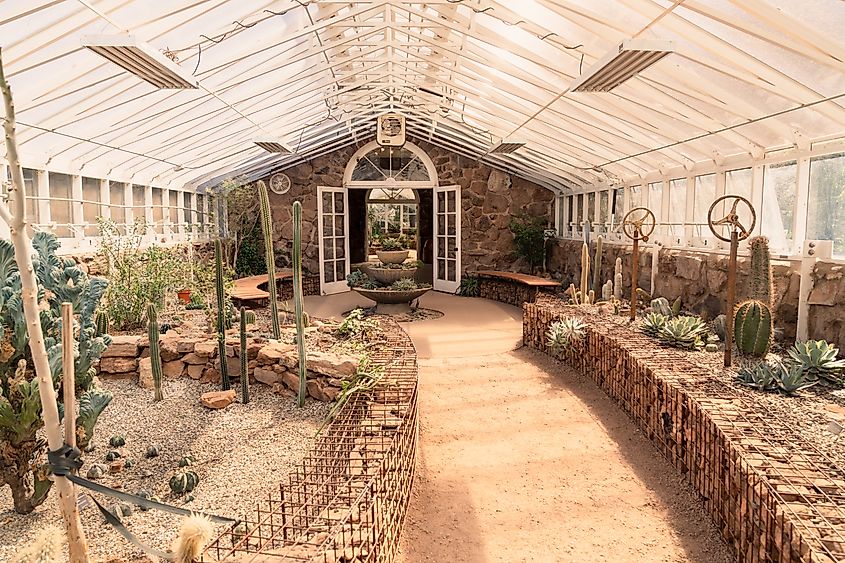 Boyce Thompson Arboretum in Superior, Arizona.