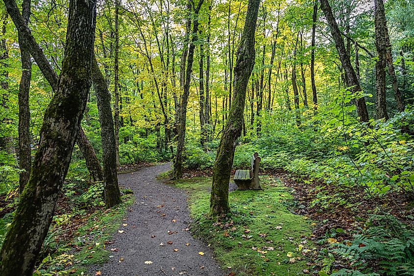 Agawa Canyon trail