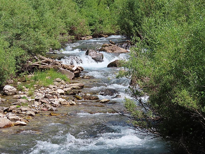 Swift Creek is near the Periodic Spring in Afton, Wyoming.