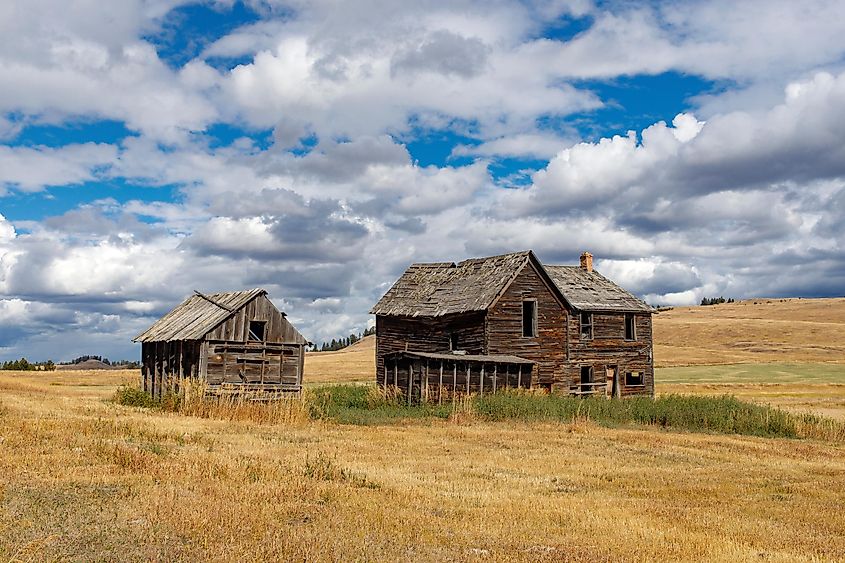 Countryside scene near Molson, Washington