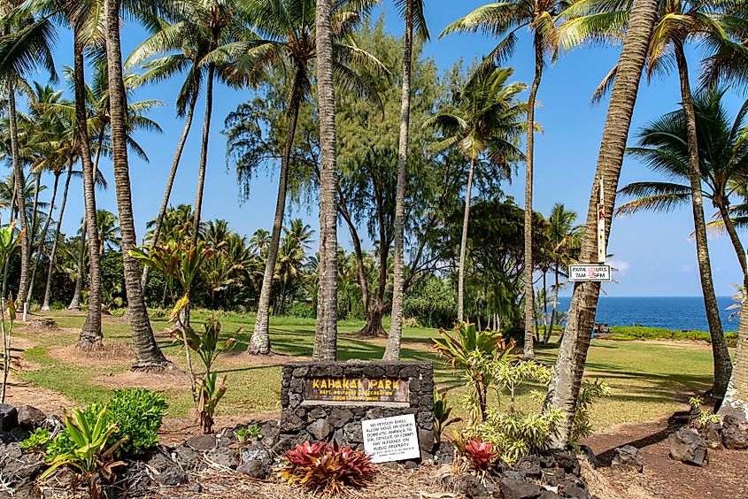 Kahakai Park in Pahoa, Big Island, Hawaii