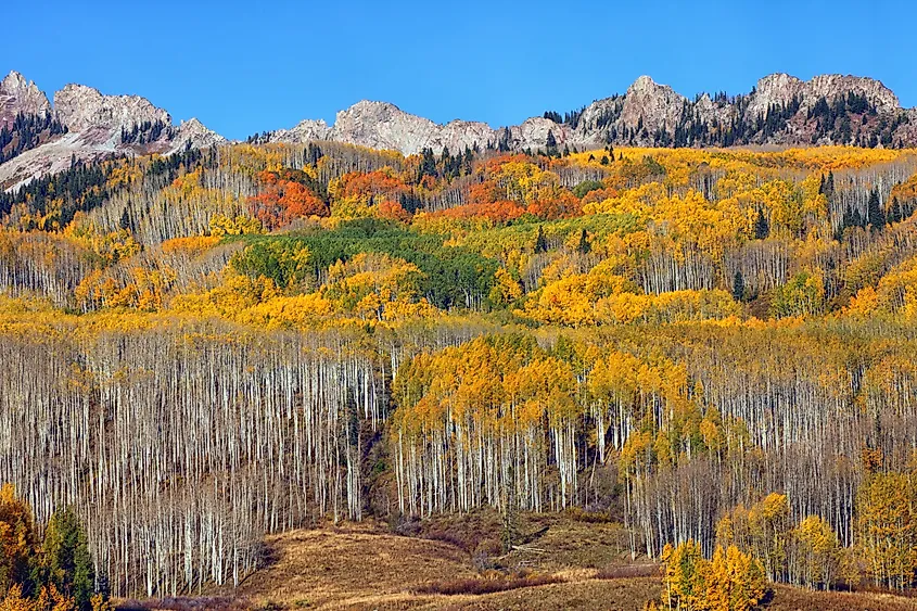 Kebler Pass in Crested Butte, Colorado.