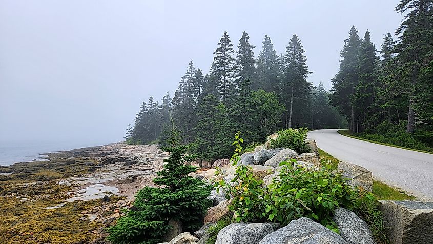 Empty Coastal Road, Schoodic Peninsula, Maine