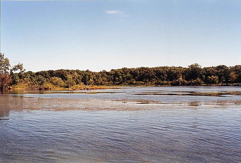 Hennepin marsh south coastline at Detroit river international wildlife refuge