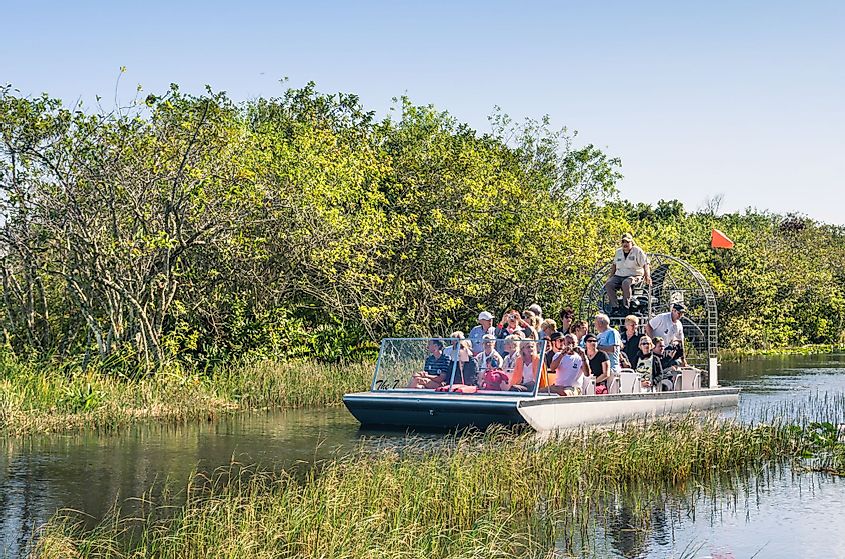 A group of tourists riding an airboat in Everglades