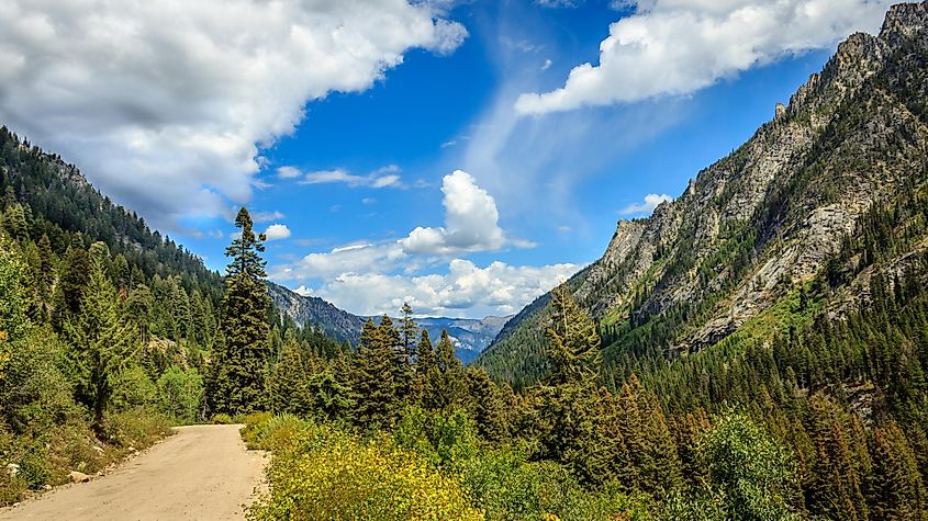 The Payette National Forest in McCall, Idaho.