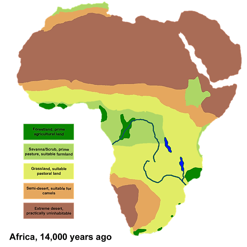 African vegetation during the last glacial maximum. 