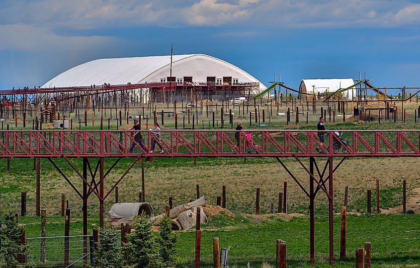 Editorial Photo Credit: Grossinger via Shutterstock. Keenesburg, Colorado / USA - 28  April 2019 The Wild Animal Sanctuary uses elevated walkways for the comfort of the animals and the safety of the visitors.