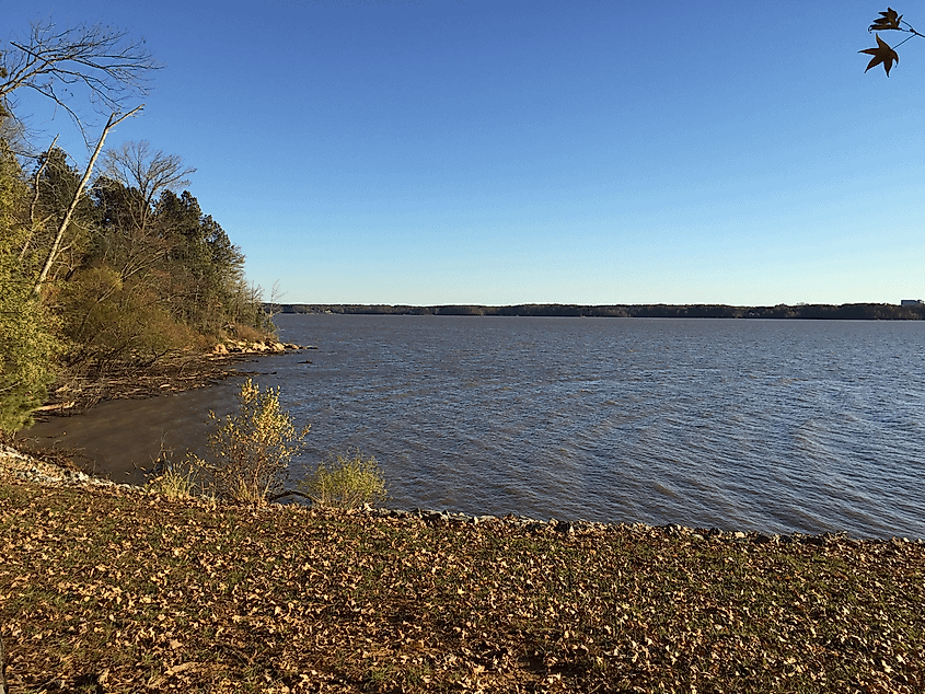 The John H. Kerr Reservoir, better known as Buggs Island Lake, at Occoneechee State Park in Virginia.