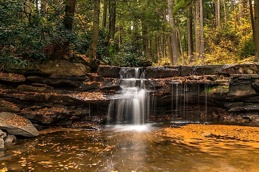  Swallow Falls state park