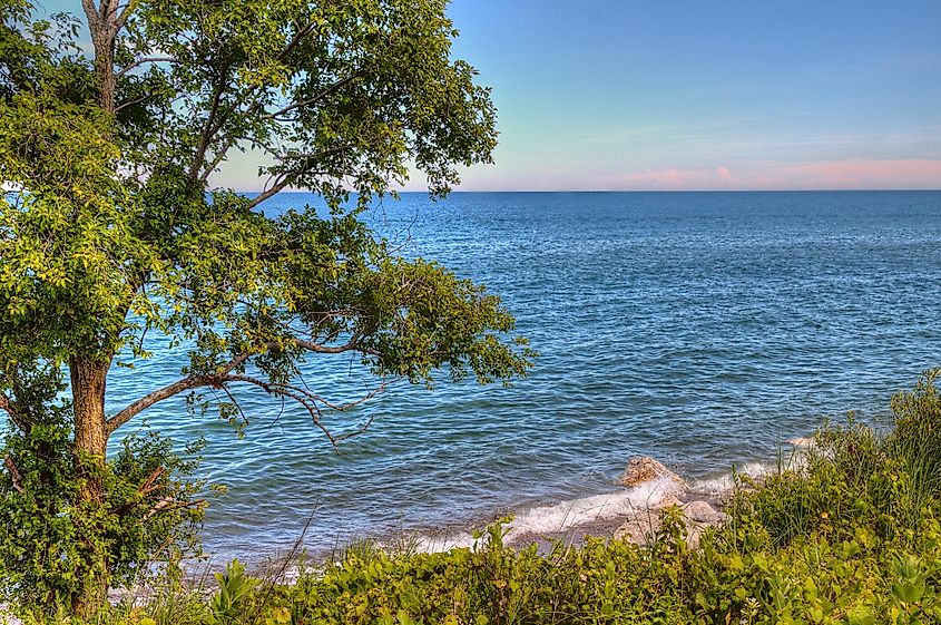 Illinois Beach State Park near Beach Park, Illinois.