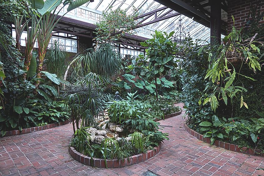 Conservatory at the Biedenharn Museum & Gardens in Monroe, Louisiana.