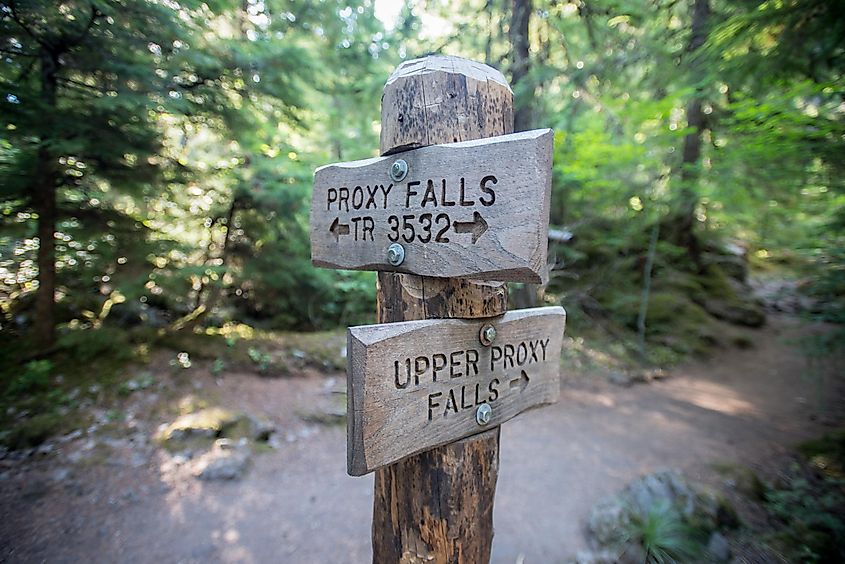 proxy falls