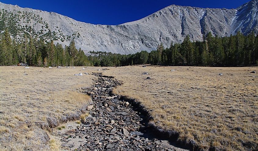 A dry creek bed during a Sierra Nevada drought