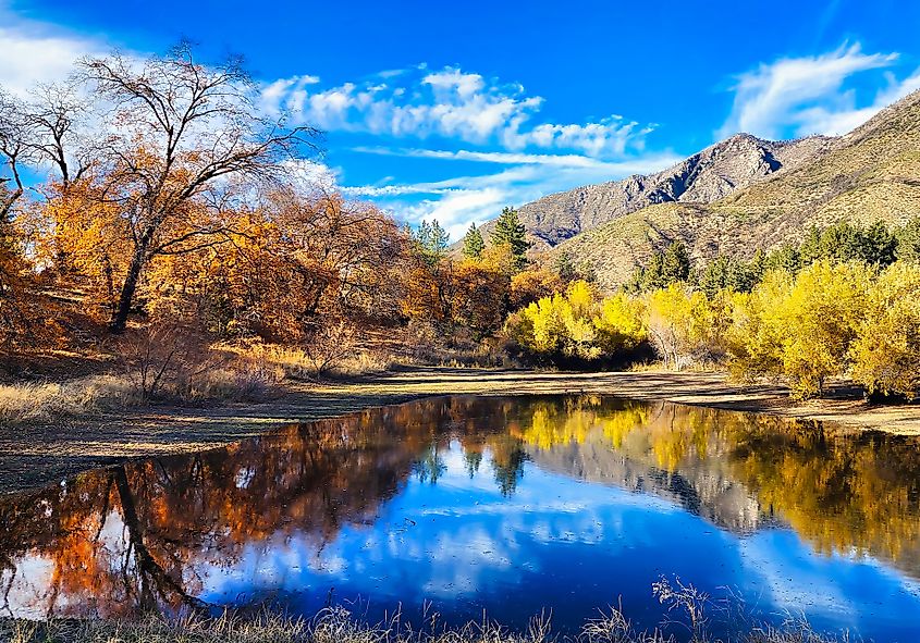 A beautiful stream with calm water at Oak Glen Preserve California