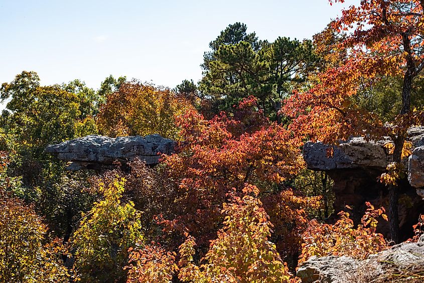 Sam's Loop trail, Arkansas