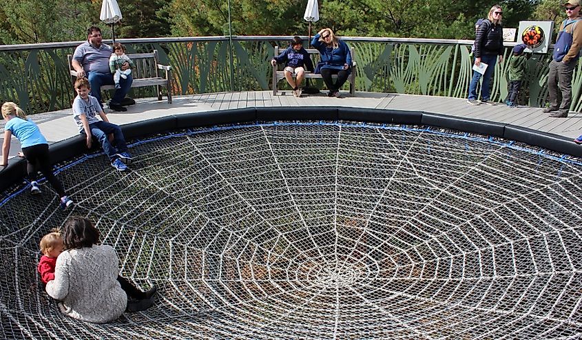 Families playing together in the spider web's center, a section of THE WILD WALK, where trails of bridges and exhibits educate the public on area wildlife.