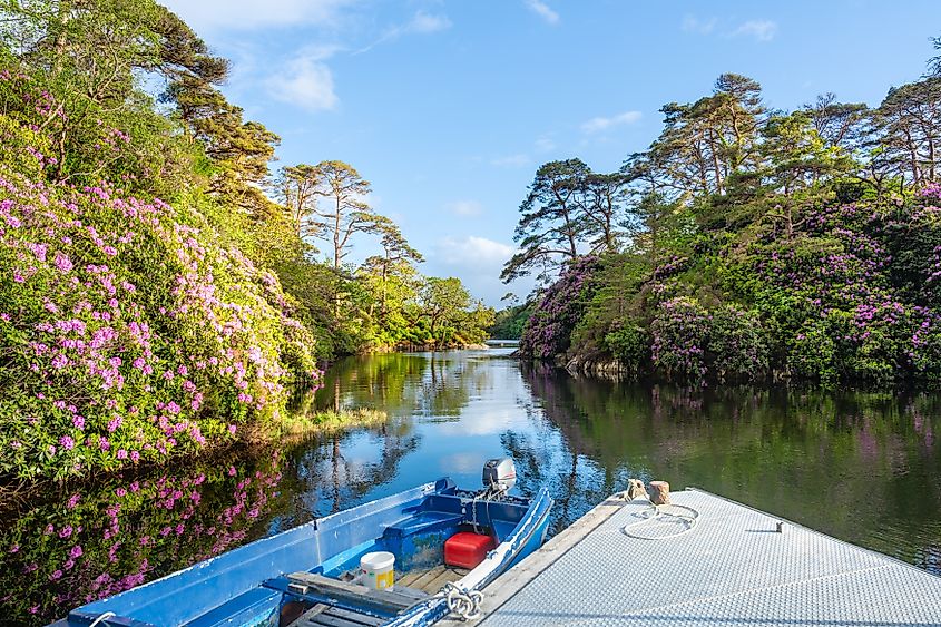 The verdant woods and tranquil Blue Pool of Glengarriff.
