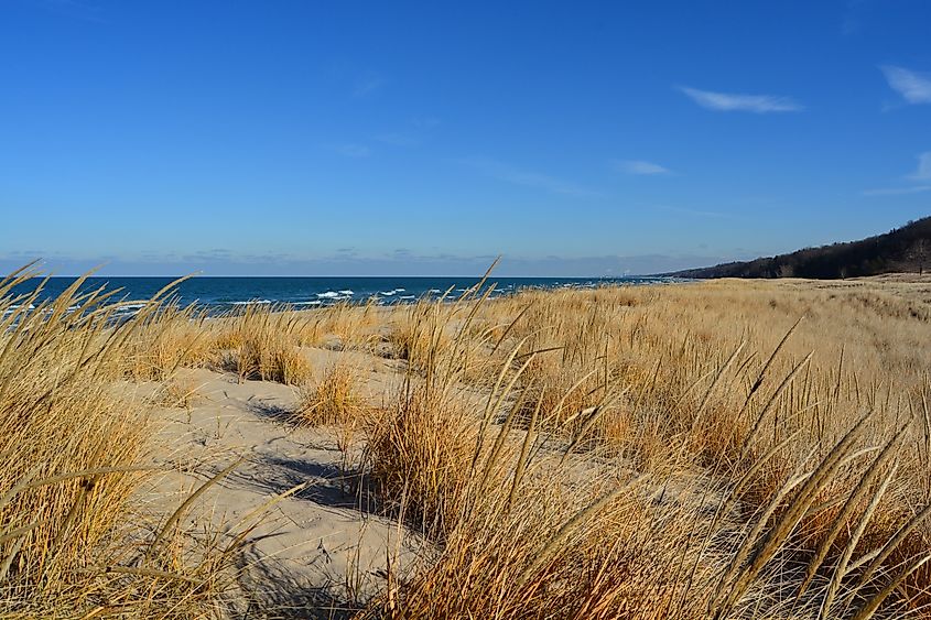 Grassy Lake Beach in Indiana Dunes National Park
