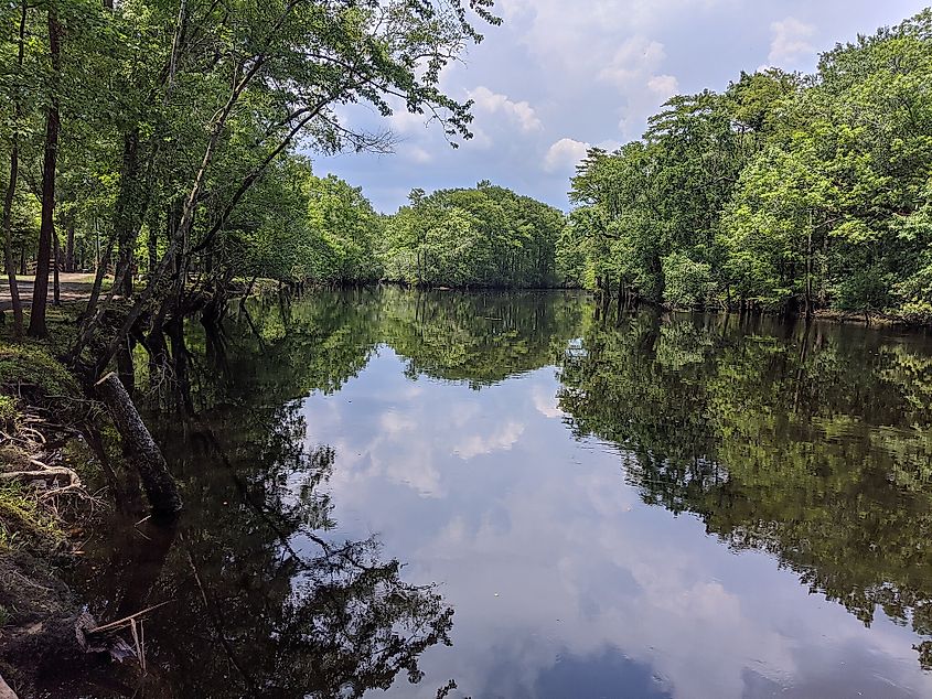 The Black River near Ivanhoe, North Carolina.