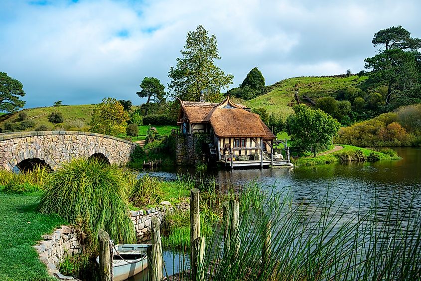 Water Pond in Matamata - New Zealand.