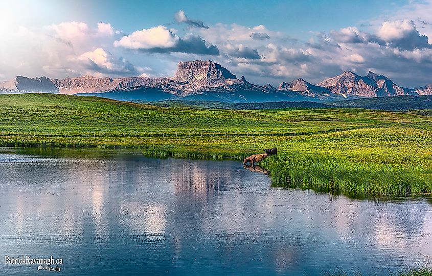 Chief Mountain View from Waterton, Alberta side. 