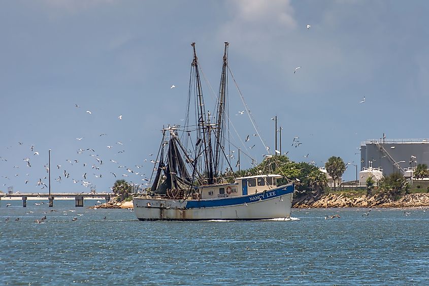 Nancy Lee fishing boat on the St. Johns River surrounded by seagulls on a warm summer day