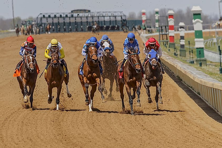 Thoroughbred horse racing at Keeneland race track, Lexington, Kentucky.