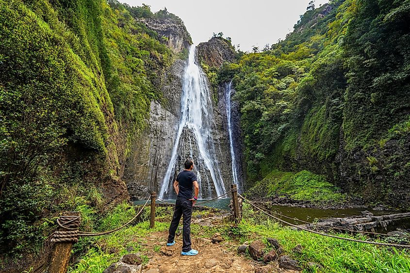Man contemplating the Manawaiopuna waterfall aka Jurassic Falls in Hanapepe Valley in the center of Kauai island, Hawaii.