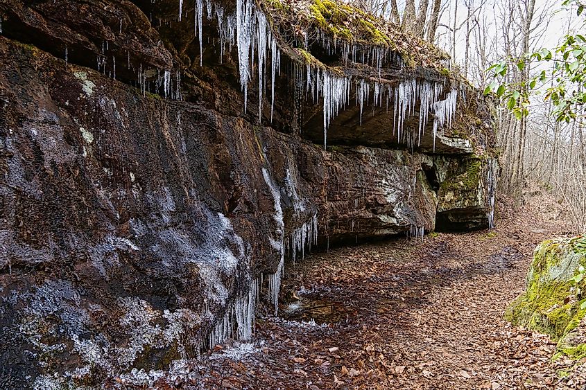 Icicles hang from moss-laden rock cliffs along the Shakerag Hollow Hiking Trail in Sewanee, Tennessee.