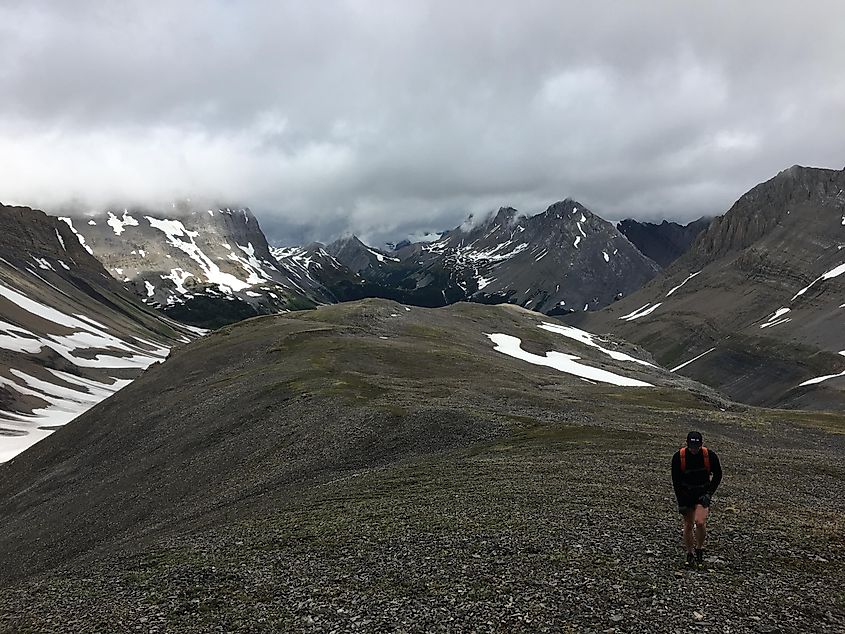 Glendon Brown (who also ran Skyline Trail) 