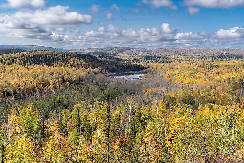 View of autumn colors in the Superior National Forest.