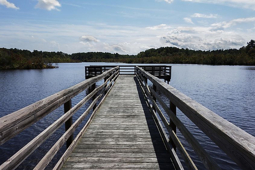 A fishing dock in the Prime Hook National Wildlife Refuge in Milton, Delaware.