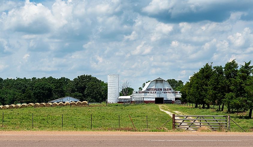 Woodburn Farm near the town of Somerville, Tennessee. Image credit TLF Images via Shutterstock