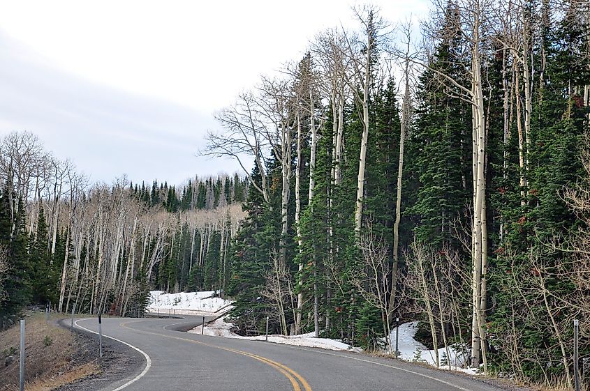 Utah's Scenic Byway 12, Dixie National Forest. Utah. USA