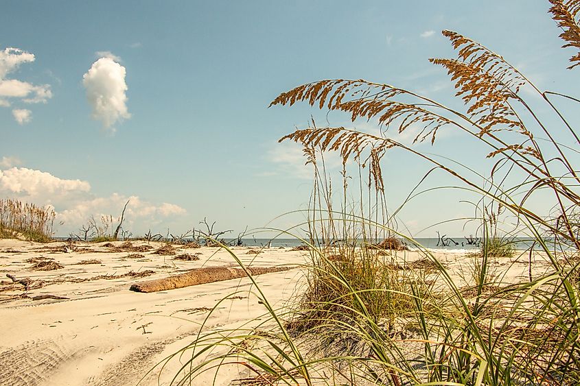 Hunting Island State Park. 