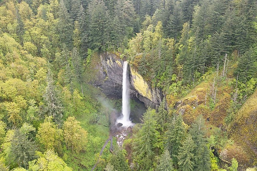 Surrounded by healthy forest, the Latourell Falls drops almost 76m, eventually flowing into Columbia River in Oregon