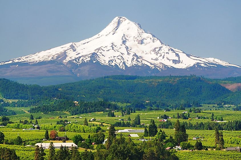 Mount Hood and Hood River Valley