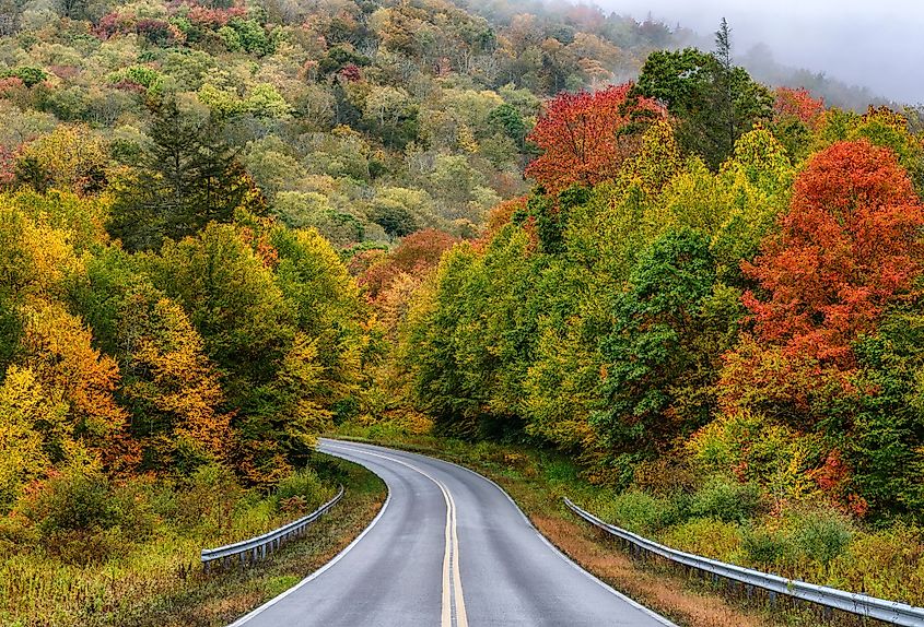 Fall foliage along the Highland Scenic Highway in West Virginia.