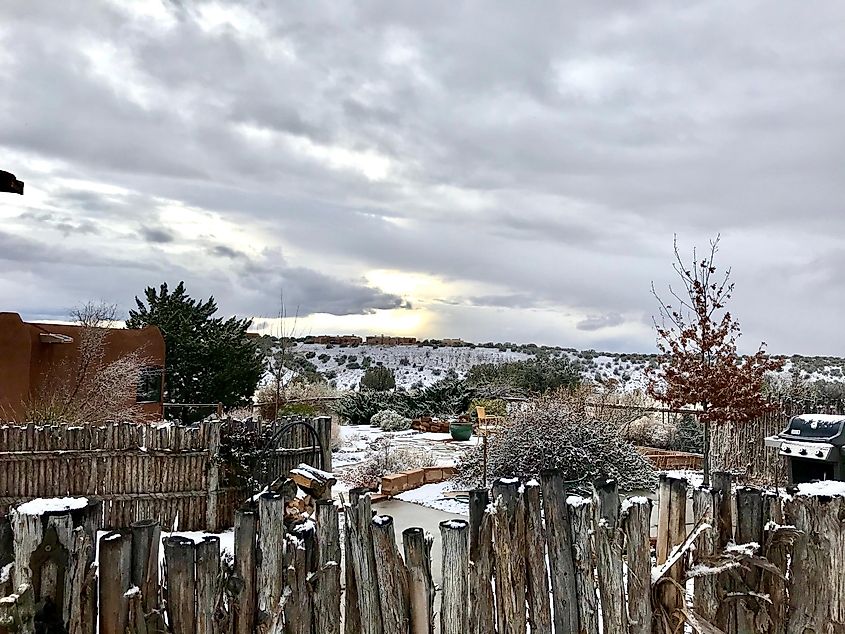 Backyard in Placitas, New Mexico