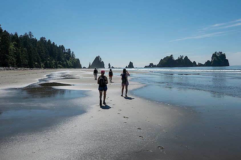 Hikers on Shi Shi Beach Trail in Olympic National Park near Neah Bay, Washington