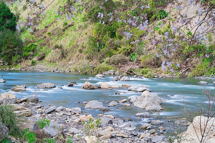 Rangitikei River near Taihape, New Zealand