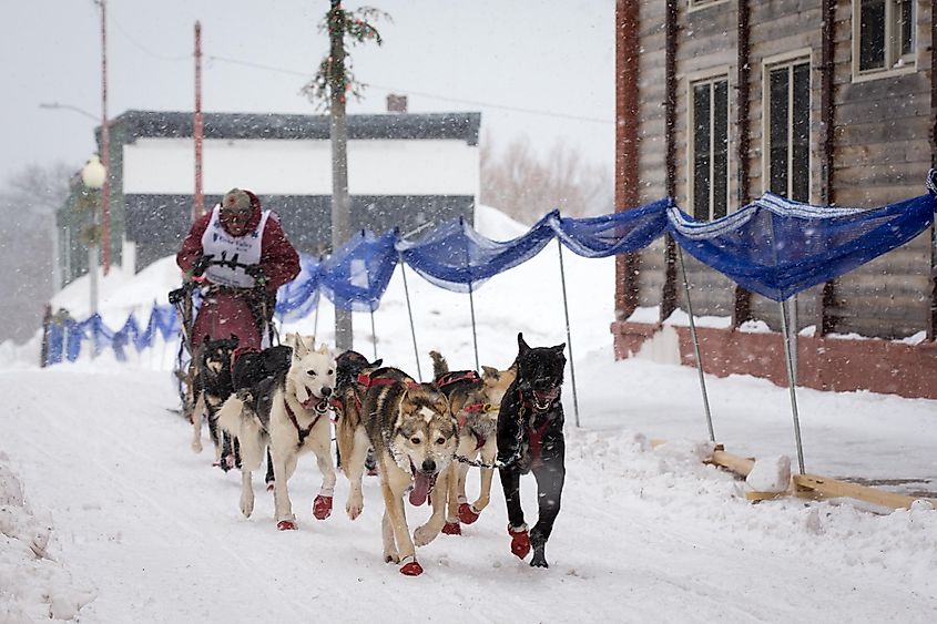 CopperDog 150 sled dog race in Calumet, Michigan